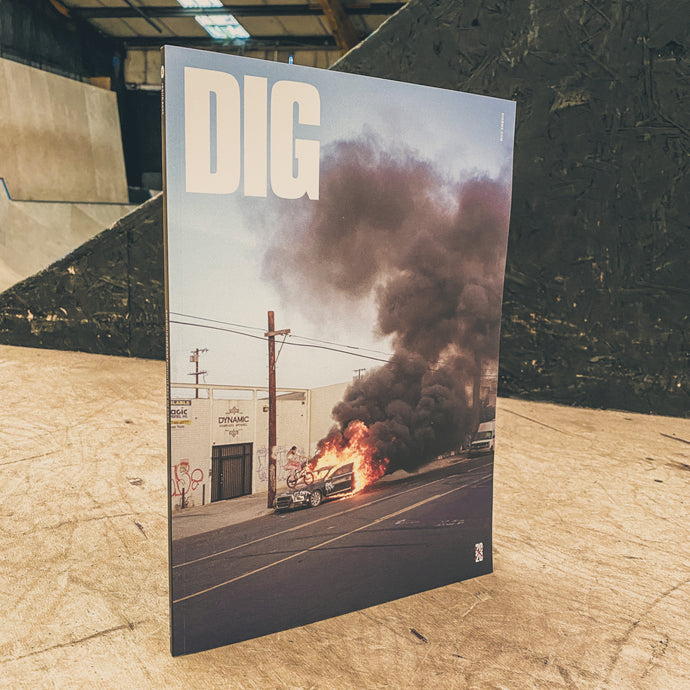 DIG 2020
